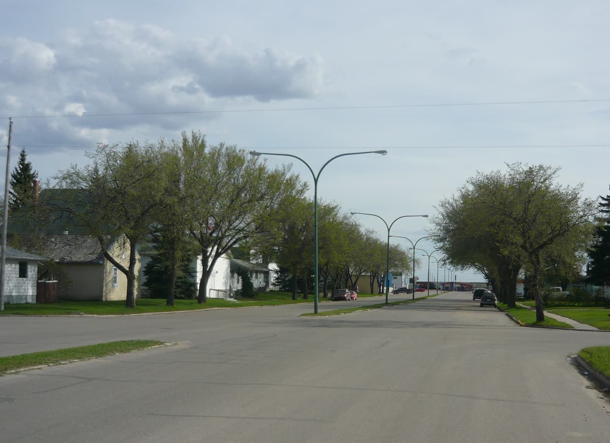 Lanigan skyline