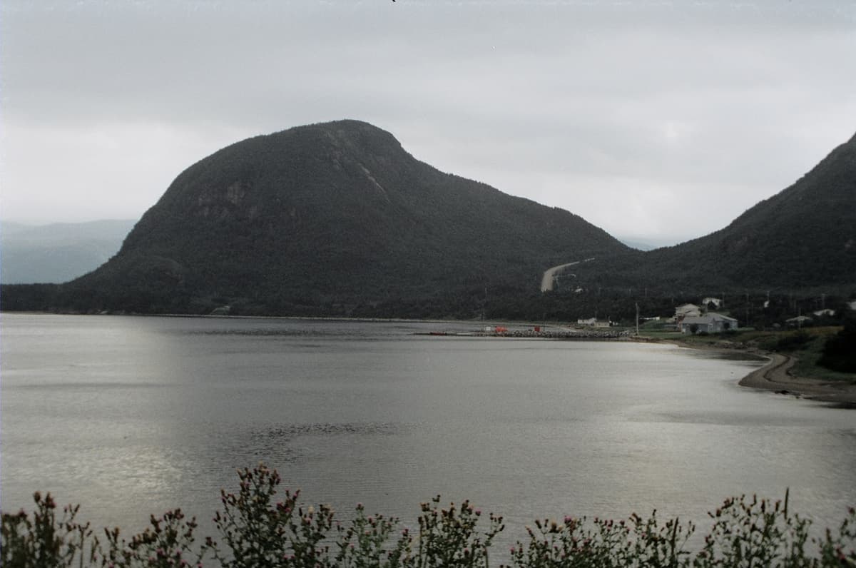 Lark Harbour skyline