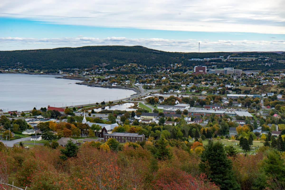 Carbonear skyline