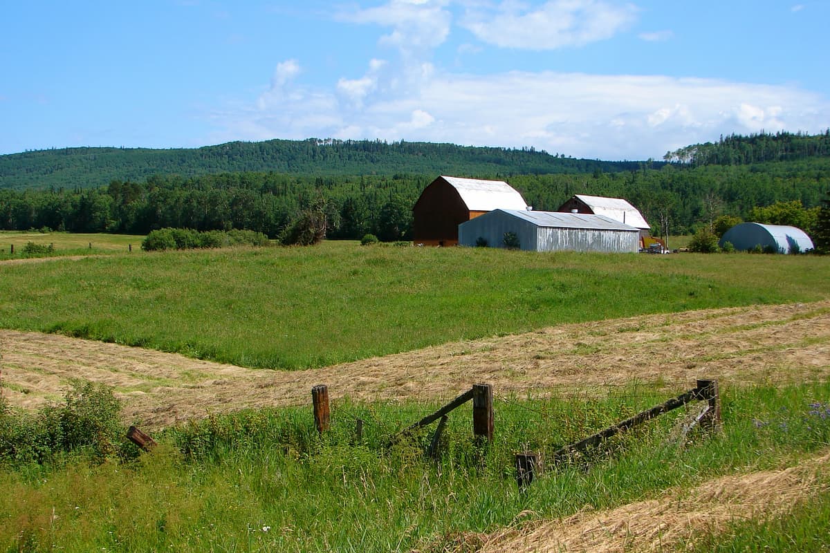 Gillies skyline