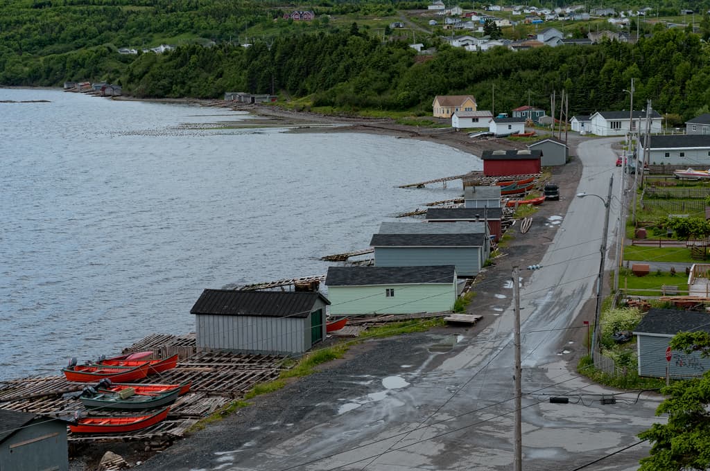 Cox's Cove skyline