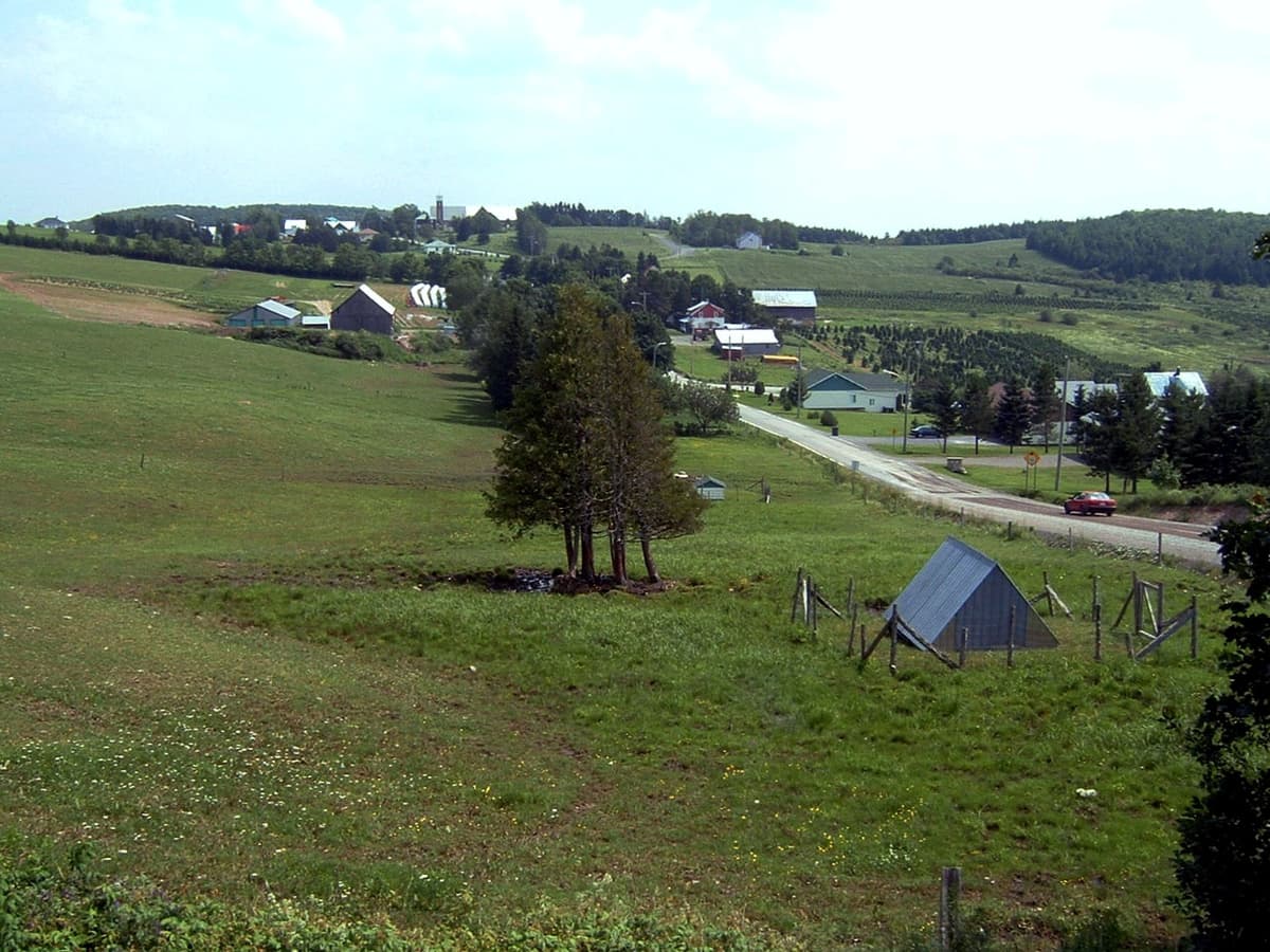 Packington skyline