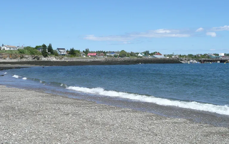 Grand Manan skyline