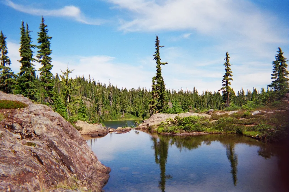 Strathcona D (Oyster Bay - Buttle Lake) skyline